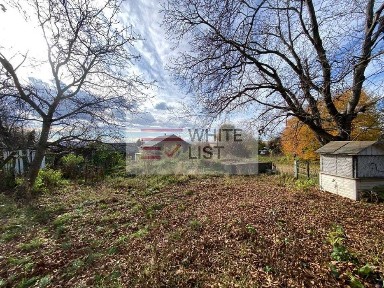 Чернівецька область, Чернівці