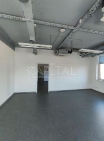 Київська область, Київ, Голосіївський