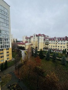 Київська область, Чайки