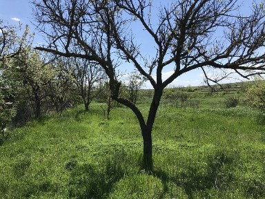 Продажа дома с земельным участком