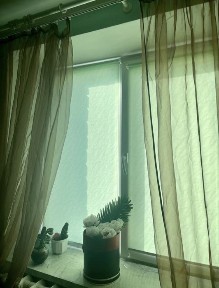 Житомирська область, Житомир, Житній ринок