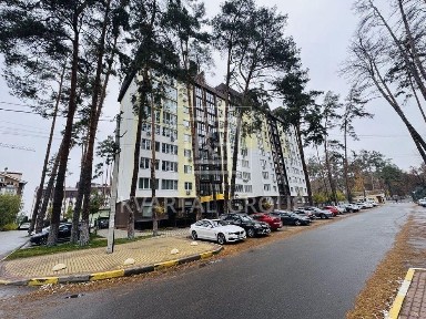 Київська область, Ірпінь