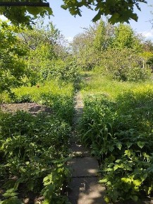 Одеська область, Одеса, Пересипський