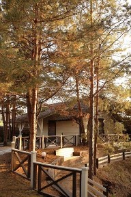 Затишні будинки, котеджі подобово