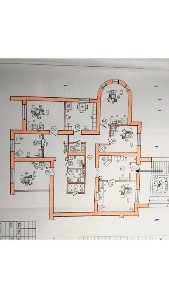 Житомирська область, Житомир, Польова