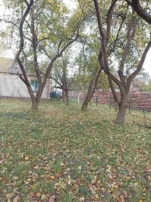 Здається в оренду будинок