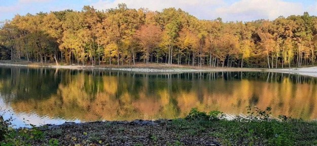 Будинок / Частковий ремонт / Басівка / Вівчарник/ Львів