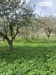 Продаж 1 поверхового будинку з опаленням і ділянкою на 20 соток, 75 кв. м, 3 кімнати, на Зелена • ID 33713106