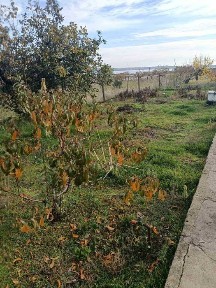 Продам 3 кімн будинок з газом, 17 сот, Радсад, Миколаївська область