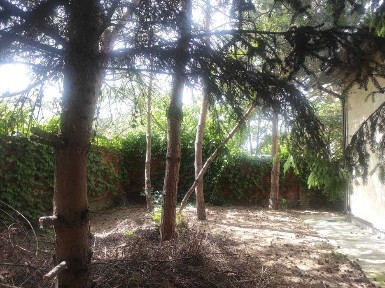 Київська область, Київ, Голосіївський