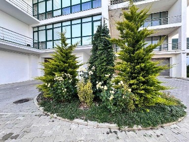 Одеська область, Одеса, Приморський