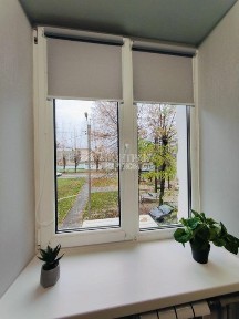 Харківська область, Харків, Шевченківський