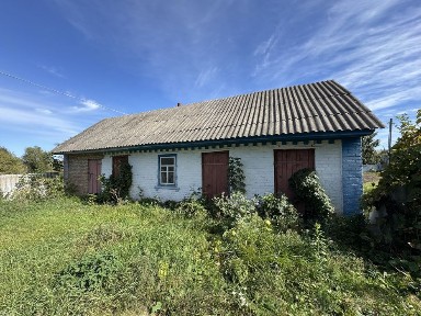 Продається будинок із землею та великим подвір'ям. В селі Долинка