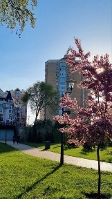 Київська область, Київ, Оболонський