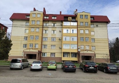 Здається велика однокімнатна біля Карпатії