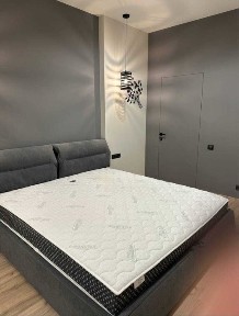 Харківська область, Харків, Шевченківський