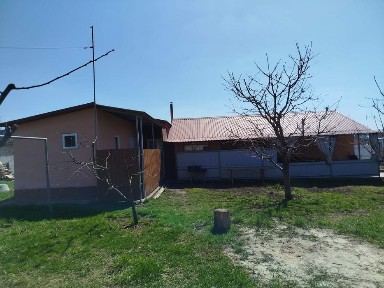 Будинок з молодим садом