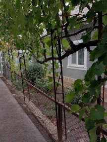 Продаю дом в Троицком