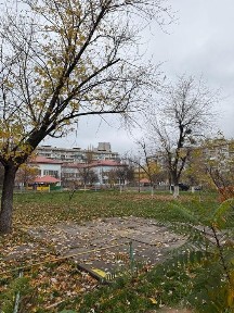 Київська область, Київ, Оболонський