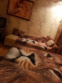 Чайка, Автовокзал, центр. КОНДИЦІОНЕР! КВАРТИРА Рівне