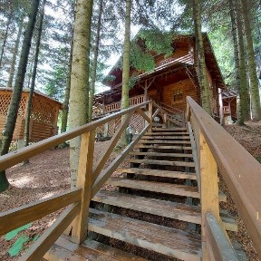 Здається будинок, котедж, дом 