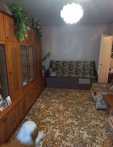 Сумська область, Суми