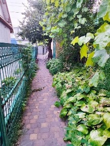 Київська область, Біла Церква