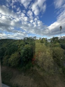 Львівська область, Львів, Шевченківський