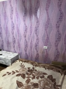 Здам 1-к кв вул. Британська ( палац Фрунзе)