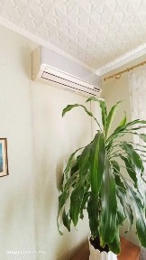 Сдаю 3-х ком. квартиру на левом берегу возле торгового центра ТЕРРА