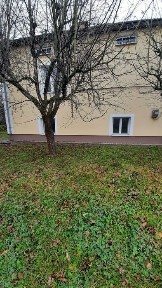 Чернівецька область, Чернівці