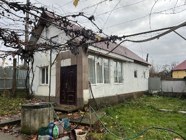 Закарпаття! С. Негрево Продаж будинку