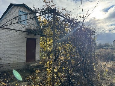 Продаж дачного будинку біля лісу
