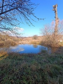 Продаж будинку в Михаїльче ( Дубово)