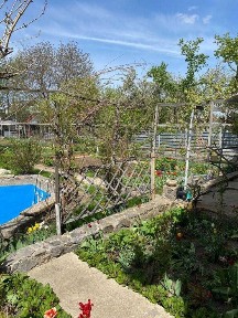 Полтавська область, Полтава