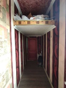 Дніпропетровська область, Дніпро, Центральний