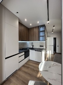 Київська область, Софіївська Борщагівка