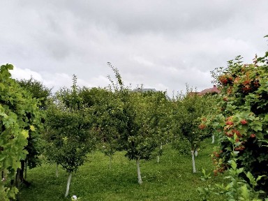 Продається будинок Мукша китайгородська