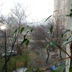 Сдам 3х к. кв Холодная Гора