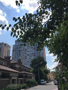 Одеська область, Одеса, Приморський