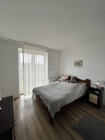 Львівська область, Львів, Шевченківський