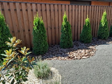 Одеська область, Ліски