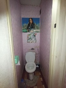 Харківська область, Харків, Шевченківський