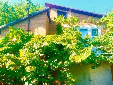 Доглянута дача у Вакуленцях