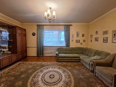 Київська область, Бориспіль