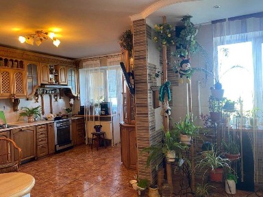 Київська область, Київ, Голосіївський