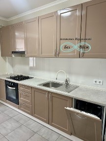 Київська область, Софіївська Борщагівка