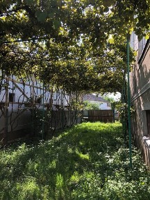 Продається будинок у селі Горонда, 15 км від Мукачева.