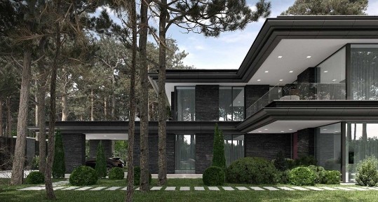 Київська область, Козин