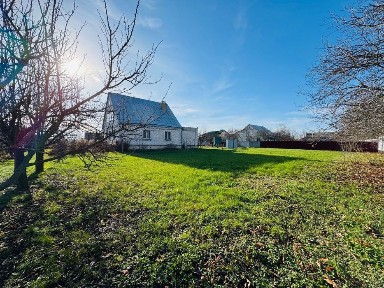 Київська область, Петропавлівське